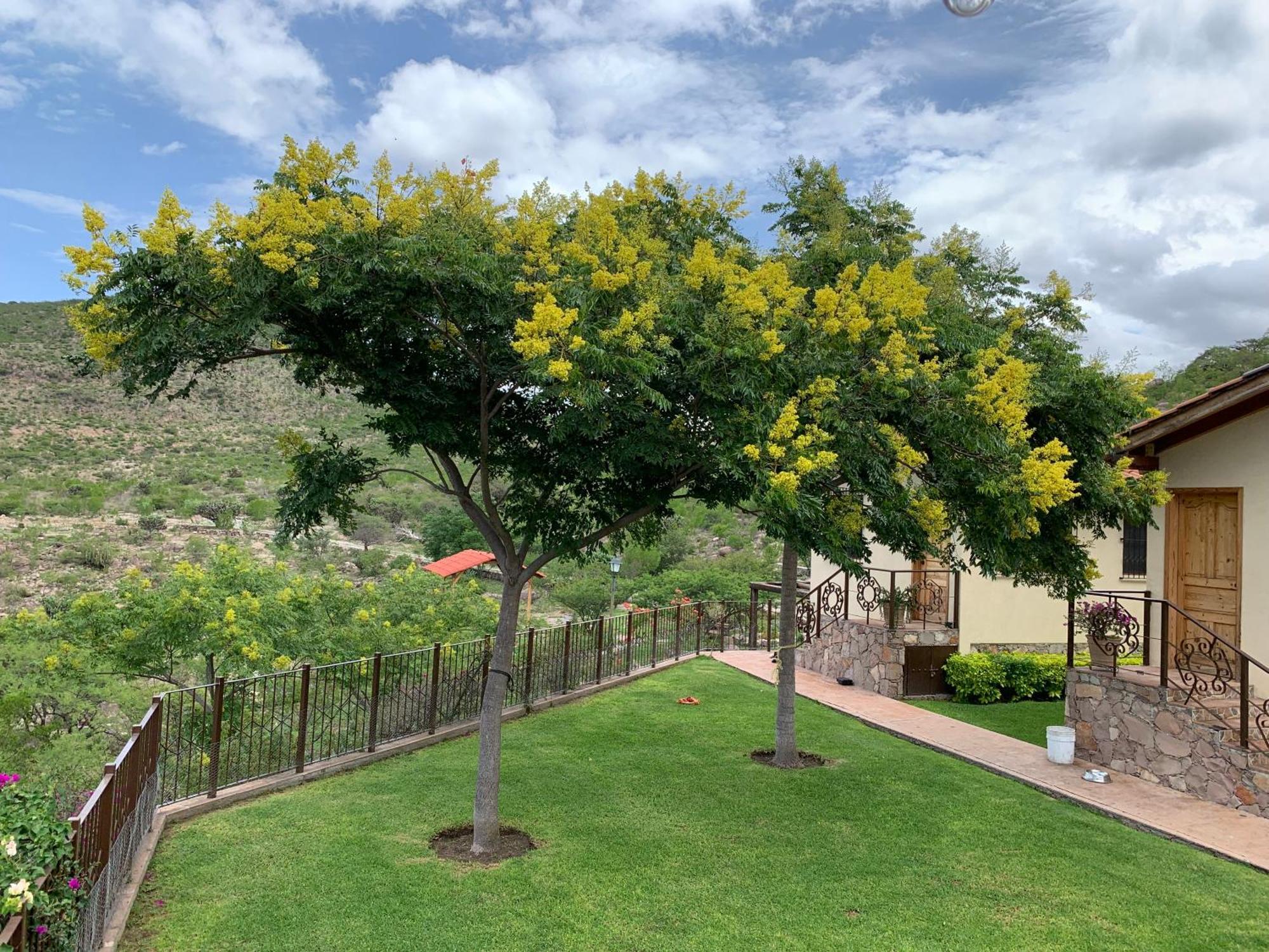 Villa Campestre La Soledad Colon Esterno foto