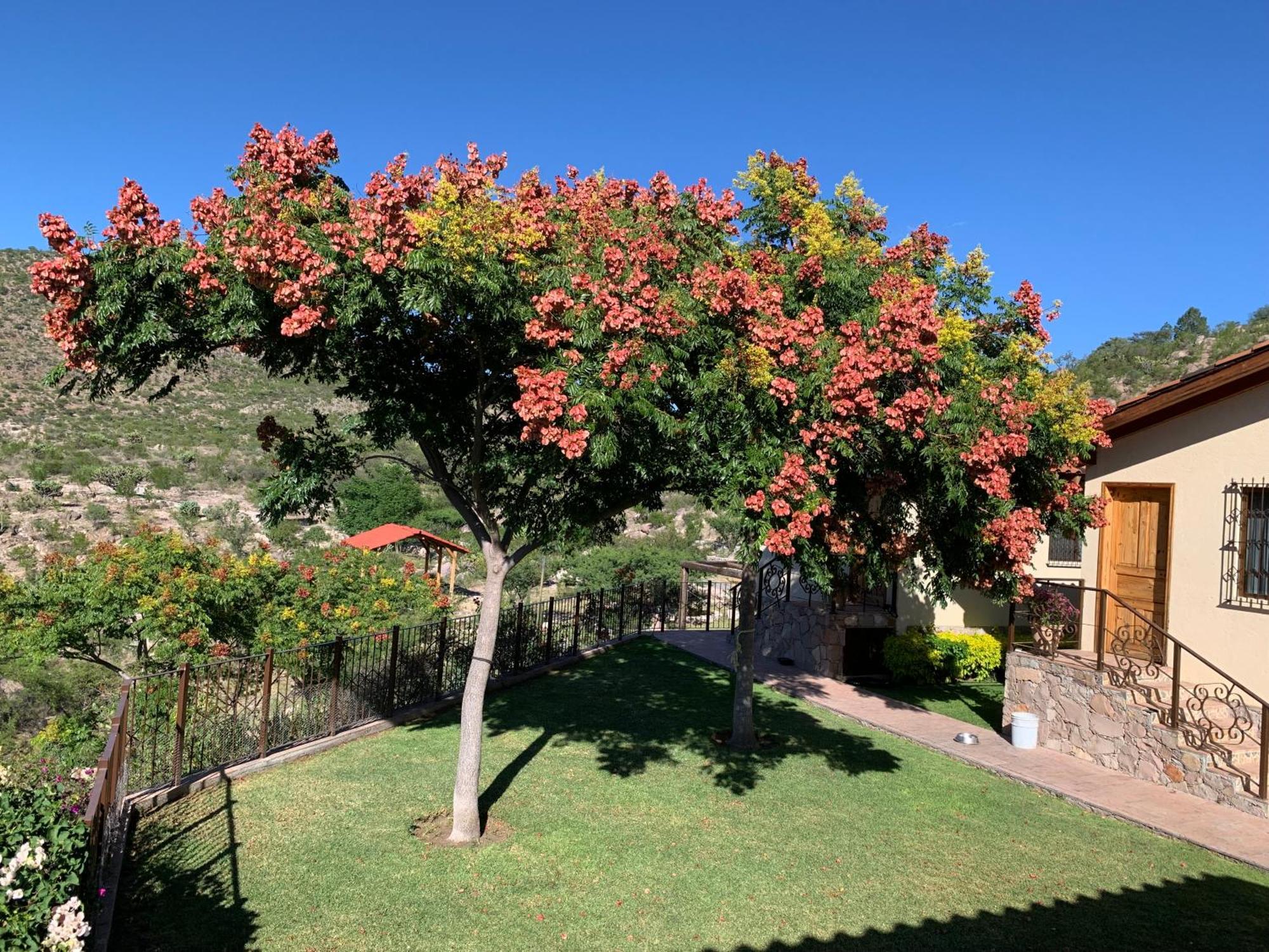 Villa Campestre La Soledad Colon Esterno foto