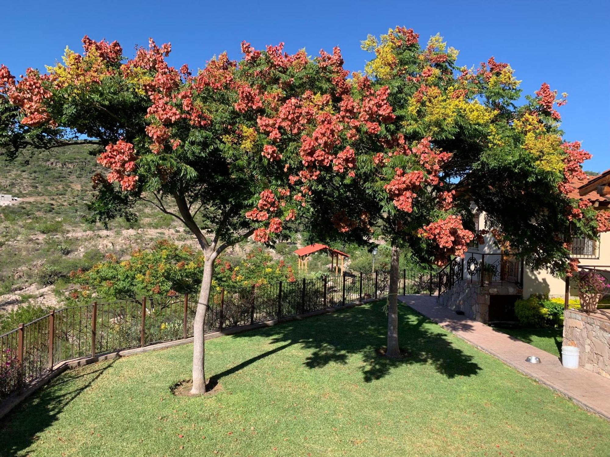 Villa Campestre La Soledad Colon Esterno foto